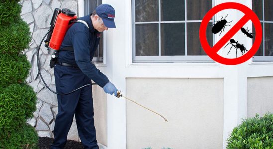 Mustafakemalpaşa Gümüşkurt İlaçlama böcek ilaçlama ve haşere kontrolü — ilaclama-tr.com